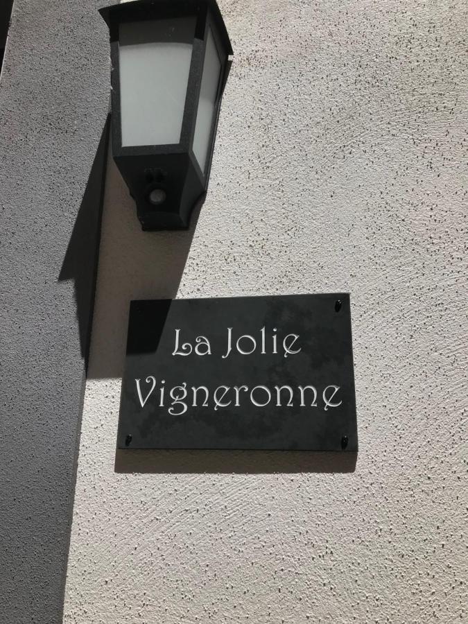 Villa La Jolie Vigneronne à Marseillan  Extérieur photo